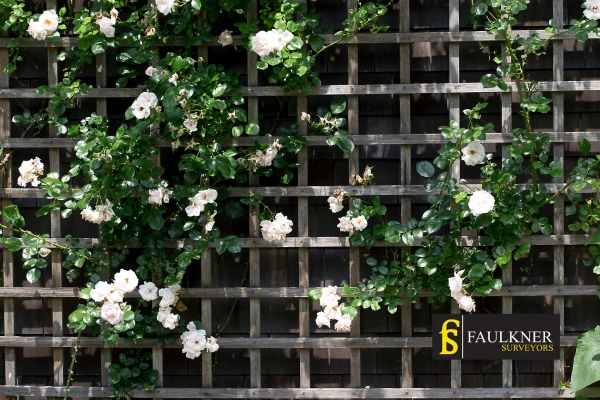 Can I put trellis on my Neighbours garage wall? 2 Do you want to adapt your neighbours garage door and add a trellis Crawley? Talk to Faulkner Surveyor Crawley